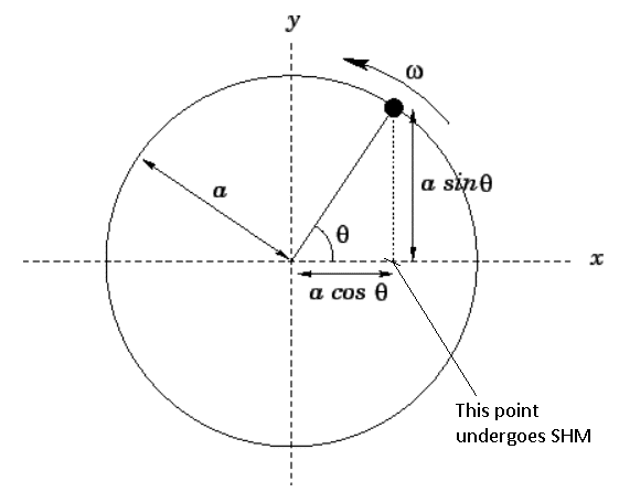 Circular motion and SHM